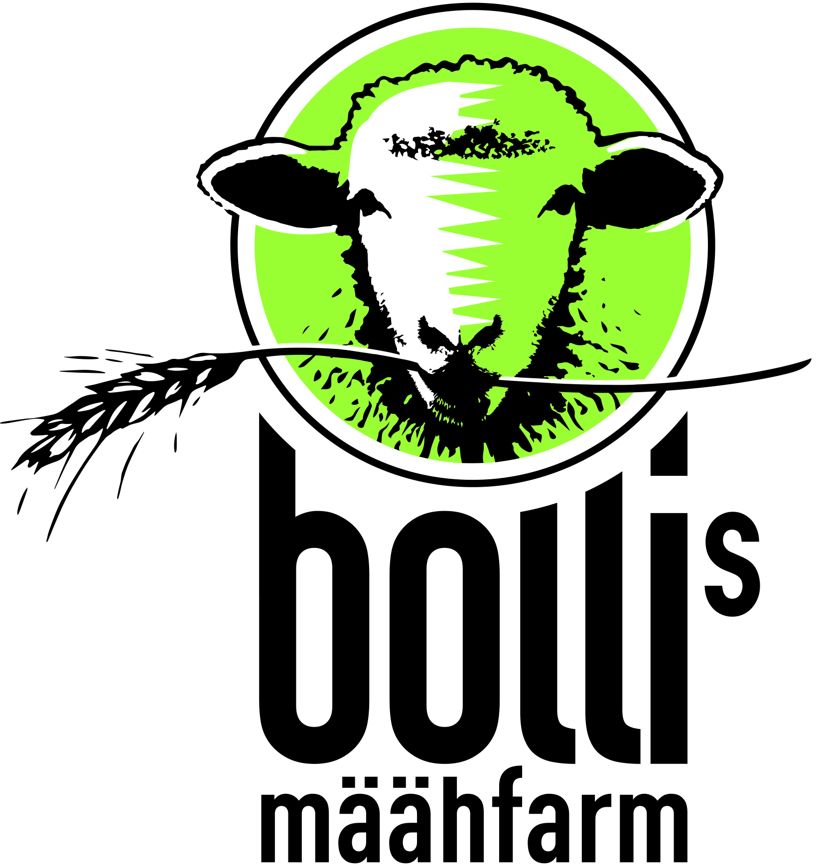 Bolli's Määhfarm KlG Fam. Marc & Jessica Bolli